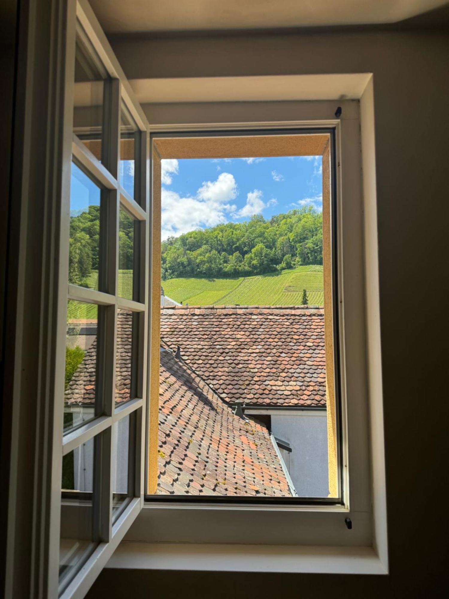 Romantik De L'ours Hotel Sugiez